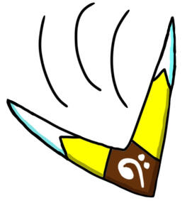 Len's boomerang